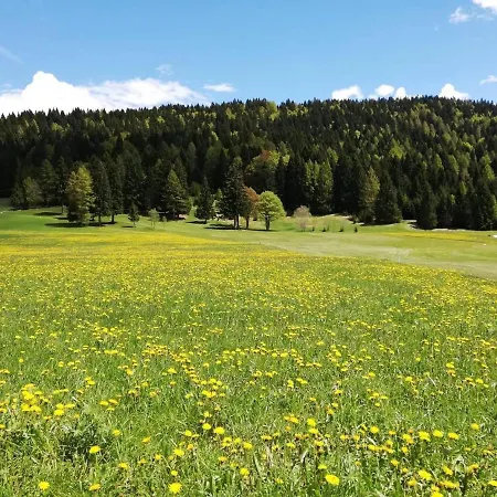 Wanderlust Oda ve Kahvaltı Folgaria
